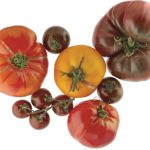 Tomaten Mariniert – Serviert in der Bowl